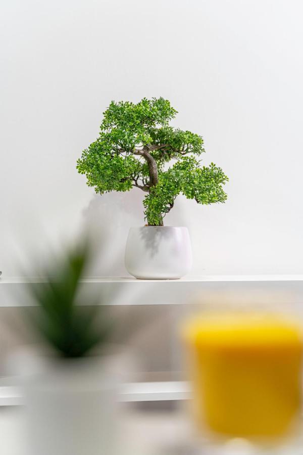Jkg Property Solutions Presents Cosy City Apartment 考文垂 外观 照片